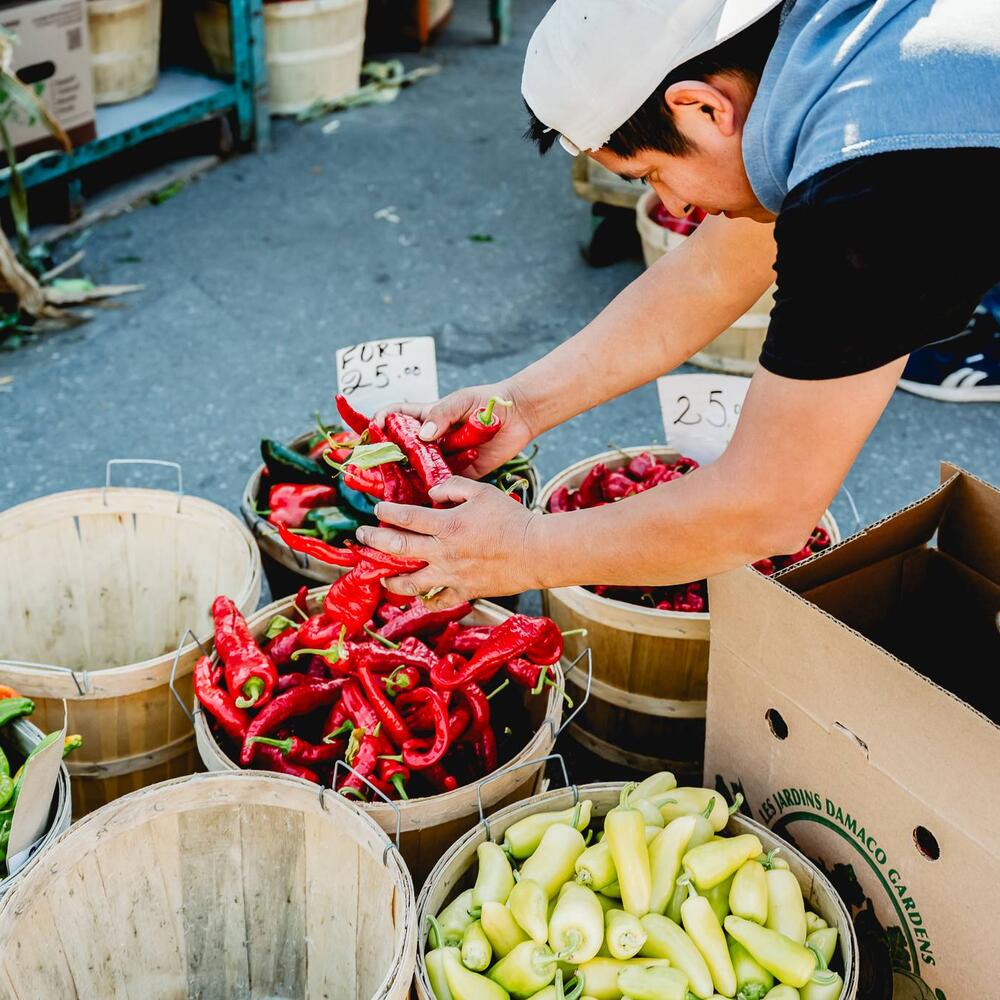 Marché Jean-Talon
