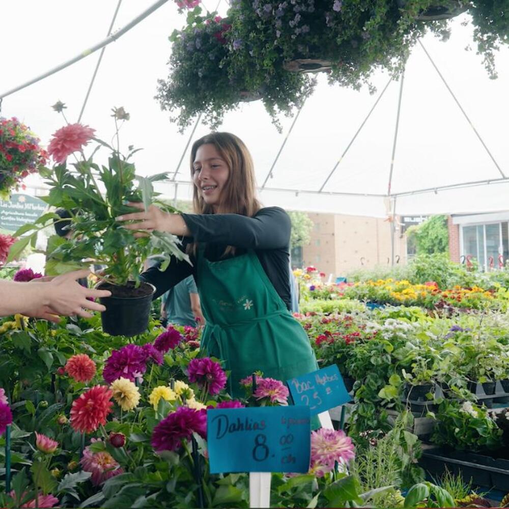 marchande donne des fleurs à cliente au marche jean-talon