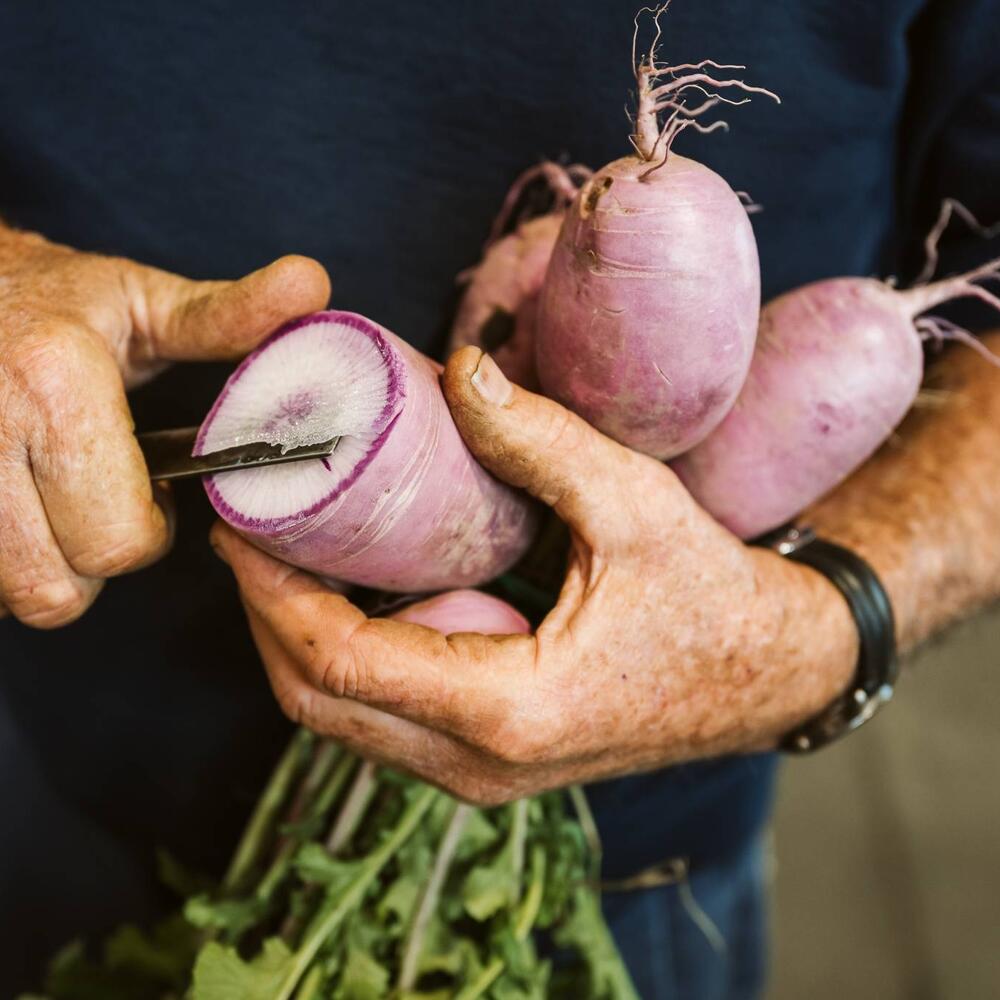 légumes racines