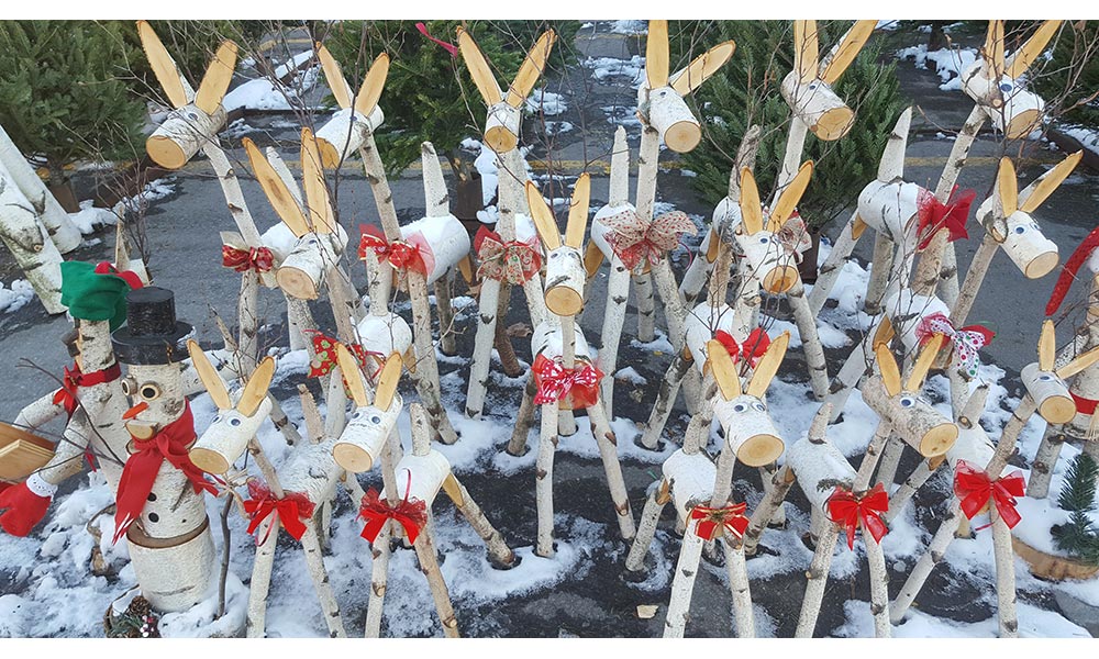 Birch Reindeer, Autres / saisonniers