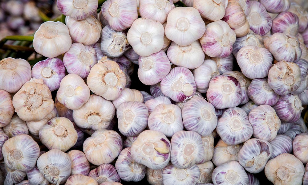 Organic garlic, Produits biologiques