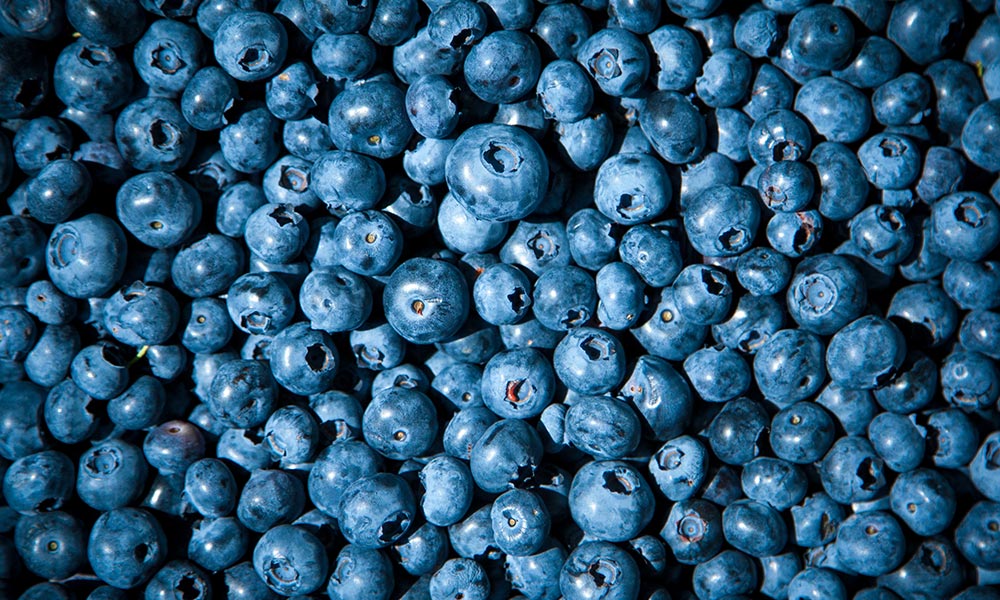 Blueberry, Fruits et légumes