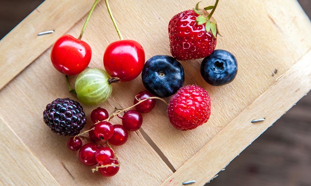 Sour Cherry, Fruits et légumes