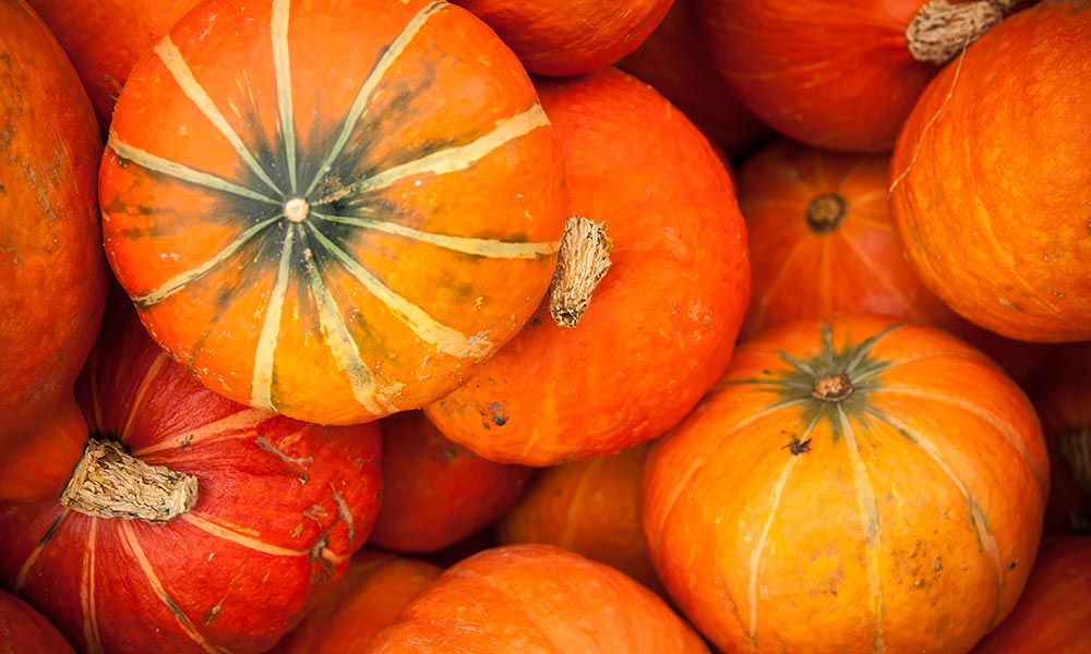 Pumpkin, Fruits et légumes