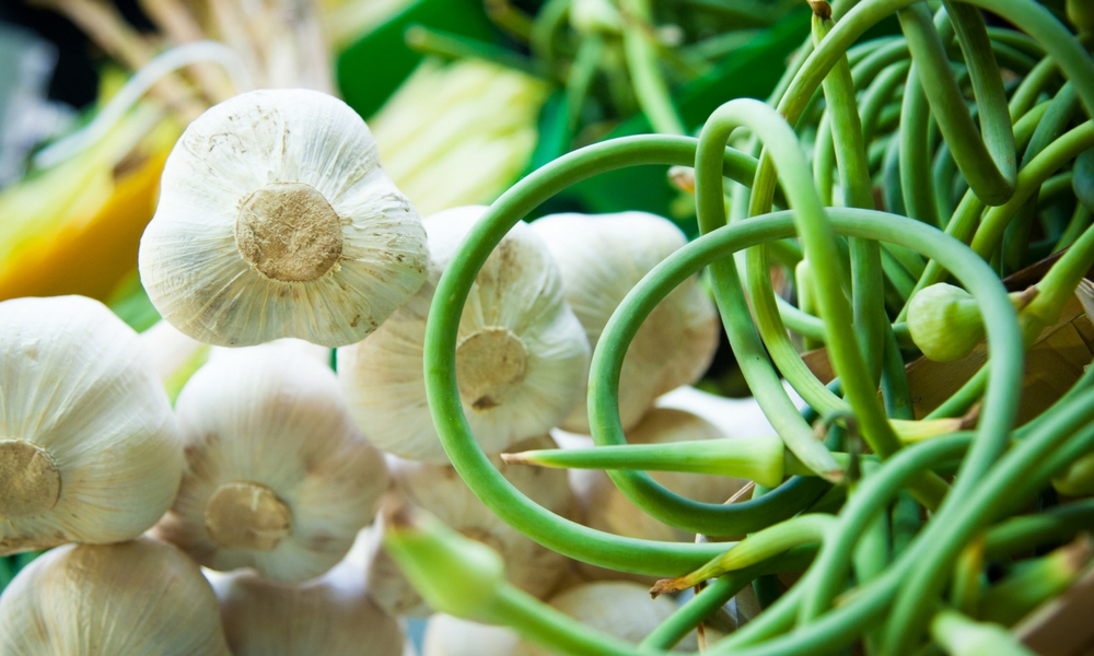 Garlic Flower, Fruits et légumes
