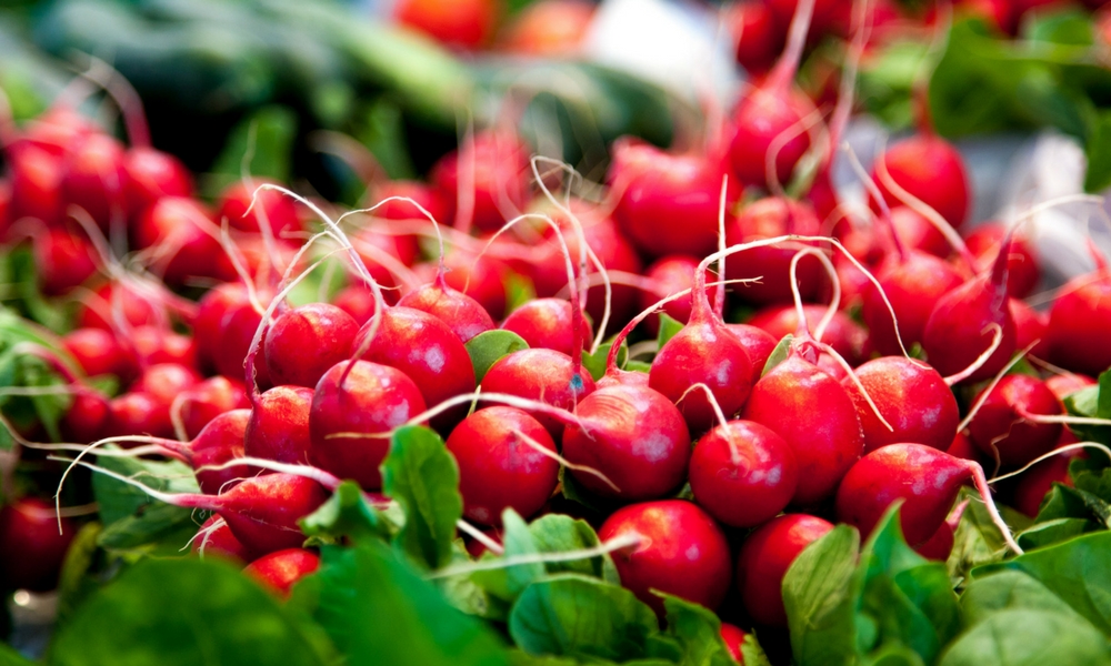 Red Radish, Fruits et légumes