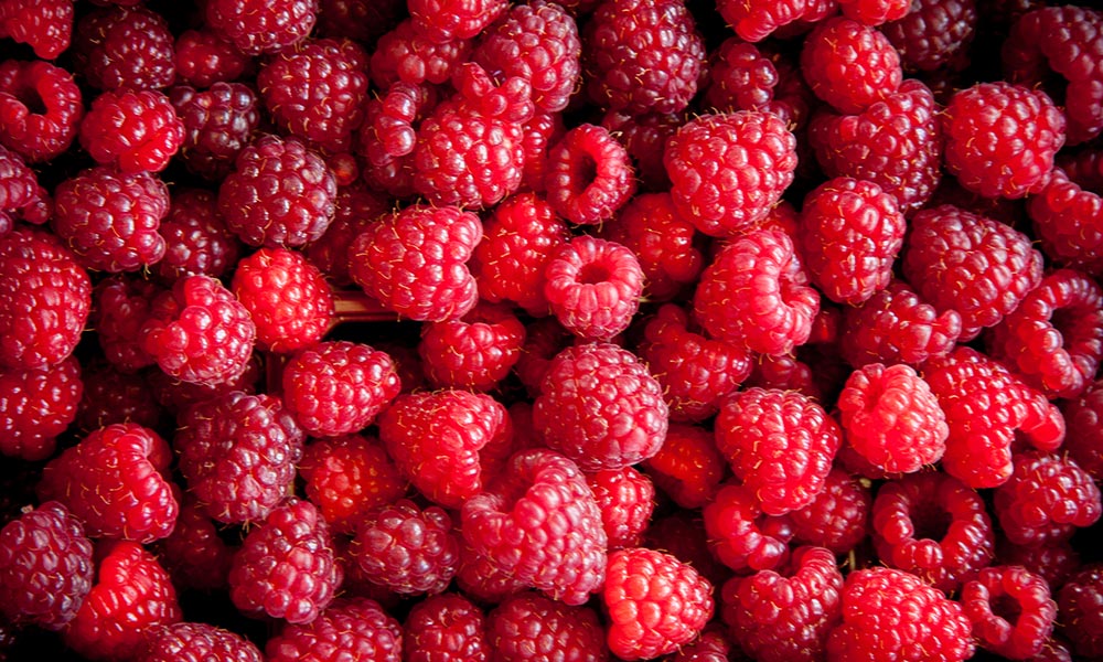 Raspberry S’Mores à la Racine, Desserts et collations