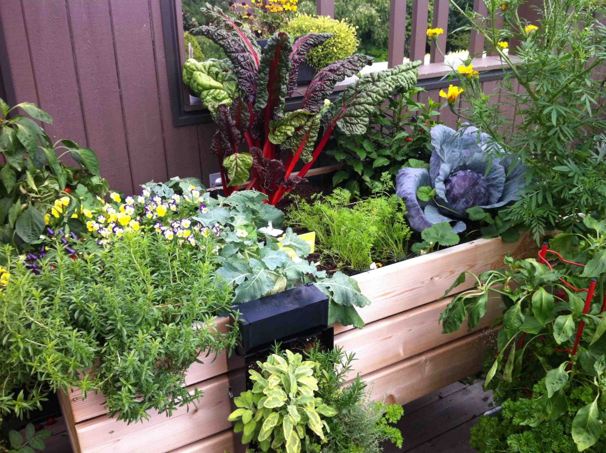 Enough with Winter! Start Your Spring Vegetable Garden!